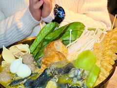 -Darling Queen·Mini·Live·House