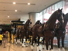 -上海汽车会展中心