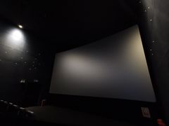 -CGV影城(壹方城IMAX店)
