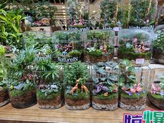 -凯德MALL(望京店)