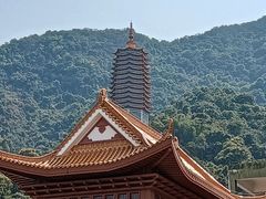 -深圳仙湖植物园