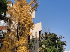 -西南交通大学(九里校区)