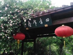 -鹅湖玫瑰文化园