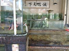 -东江港海鲜城(广雅花园别墅区店)