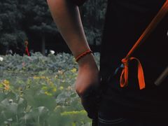 -贵阳市花溪国家城市湿地公园