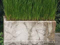 -缥缈峰景区