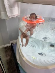 -弗蕾亚·和月月子调理院(东湖店)