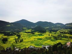 -牛街螺丝田