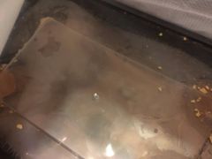 -MOMO冰品·生巧汤圆(红桥店)