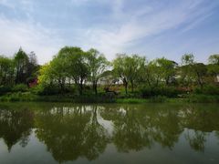 -新江湾城公园