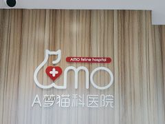 -御宝贝·A梦猫科宠物医院(国际猫友好医院)