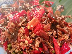 -蜗牛小馆醉乡民谣云南菜(惠新西里店)