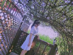 -怪坡茶馆