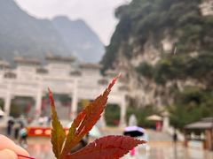 -华山风景名胜区