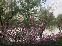 -东湖景区