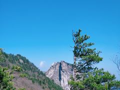 -牛背梁国家森林公园