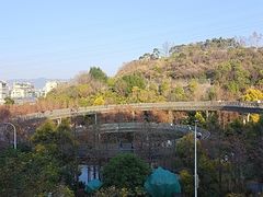-福道