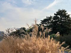 -黄兴公园