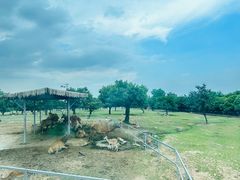 -西安秦岭野生动物园