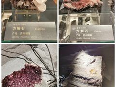 -中国地质博物馆