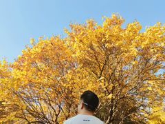 -森林公园(尖草坪区)