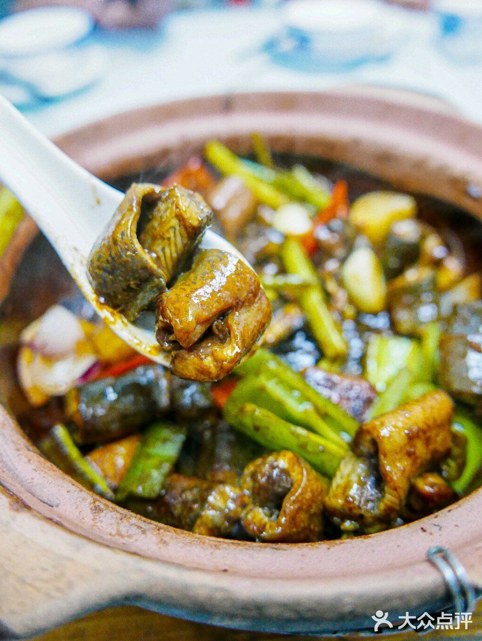 没有人可以拒绝得了一锅热辣辣的啫啫煲