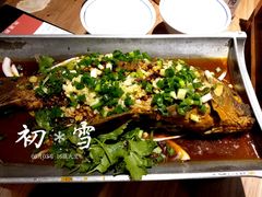 贵阳人的炝锅鱼-树厨贵州菜(大十字店)