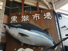 -黑潮市场