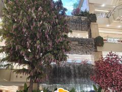 -赛格国际购物中心(小寨店)