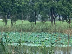 -苏州太湖国际会议中心