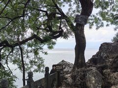 -小普陀
