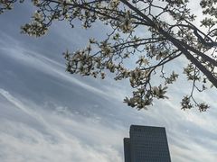-西湖文化广场