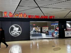-哈尔滨太平国际机场-T2航站楼