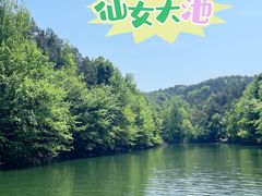 -青龙山国家森林公园