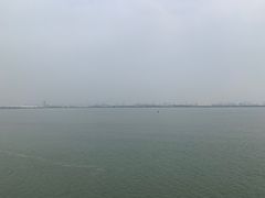 -大湾区中央湿地公园