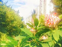 -晓港公园