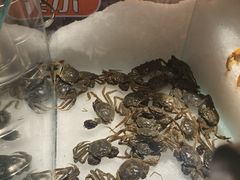 -火叮叮自助烤肉·现切牛肉(茂业店)