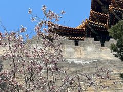 -东华门大街小区