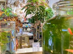 -缦云里花园餐厅