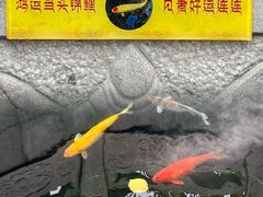 -西安市广仁寺