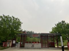 -大望京公园