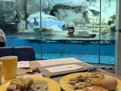 -帝企鹅自助餐厅•儿童岛•真企鹅(长隆企鹅酒店)