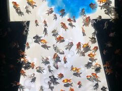 -上海环球金融中心云端足球盛典