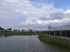 -马陆小张葡萄园农家乐