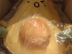 -油梨树AVOCADO TREE(嘉里中心店)