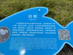 -北海金海湾红树林生态旅游区