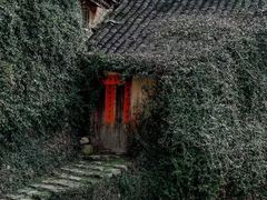 -杨家堂村