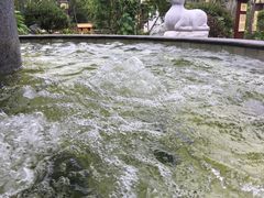 -太白山御龙湾温泉
