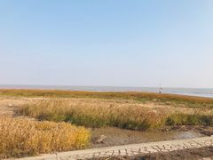 -南汇嘴观海公园