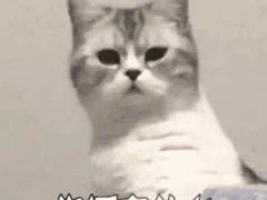 -卡佩罗意大利餐厅及酒吧Al Cappello Trattoria